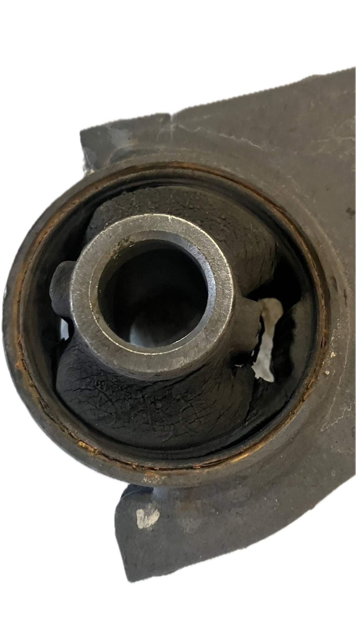 CrackedstockBush_2048x.png?v=